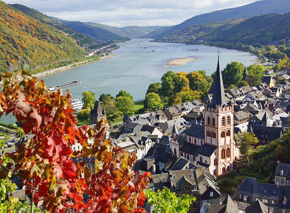 Im Vordergrund Weinreben, dahinter die Altstadt von Bacharach am Rhein. Die markante St. Peter Kirche sticht hervor. Im Hintergrund fließt der breite Rhein durch bewaldete Hügel.